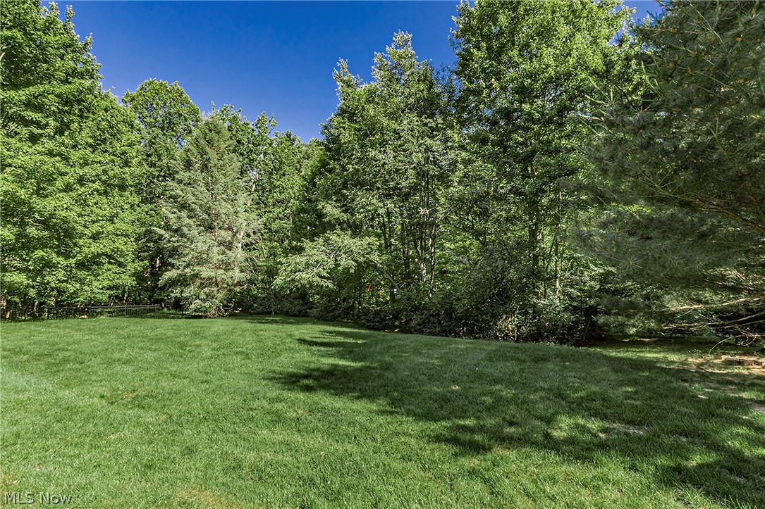 32905 Seneca Drive Property Photo 39
