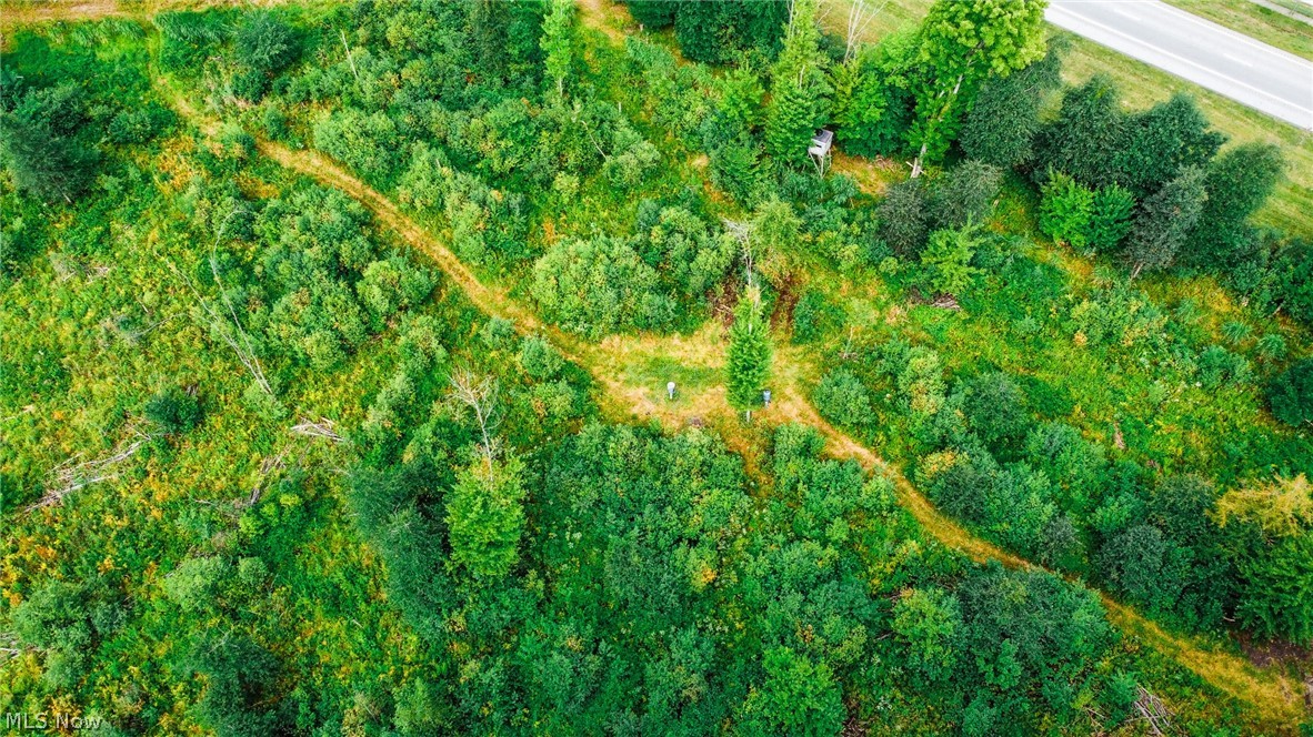 River Road Property Photo 3