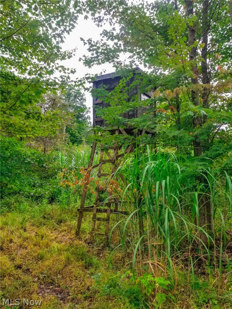 River Road Property Photo 5