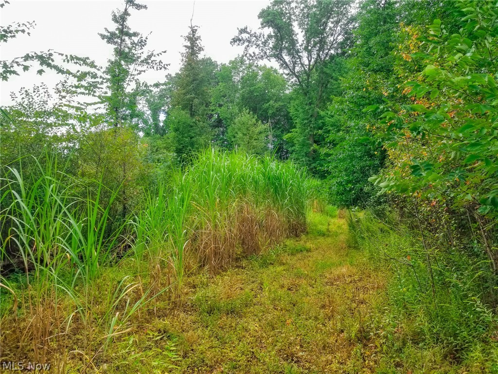River Road Property Photo 11