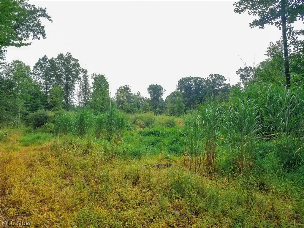 River Road Property Photo 13