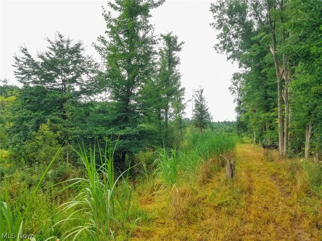 River Road Property Photo 14