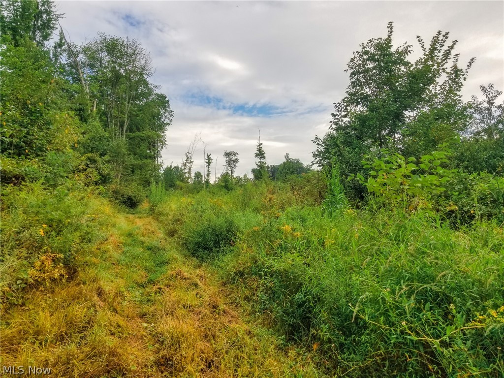 River Road Property Photo 15