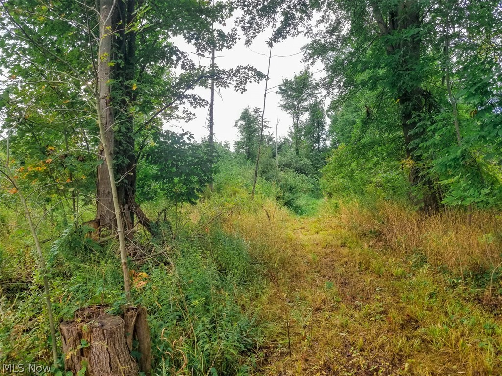 River Road Property Photo 16