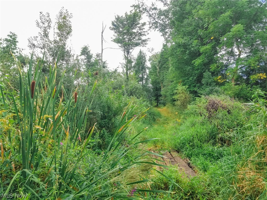River Road Property Photo 17