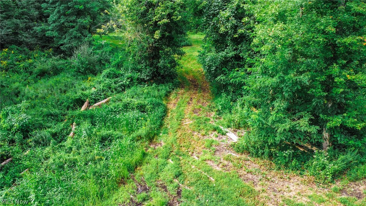 River Road Property Photo 36
