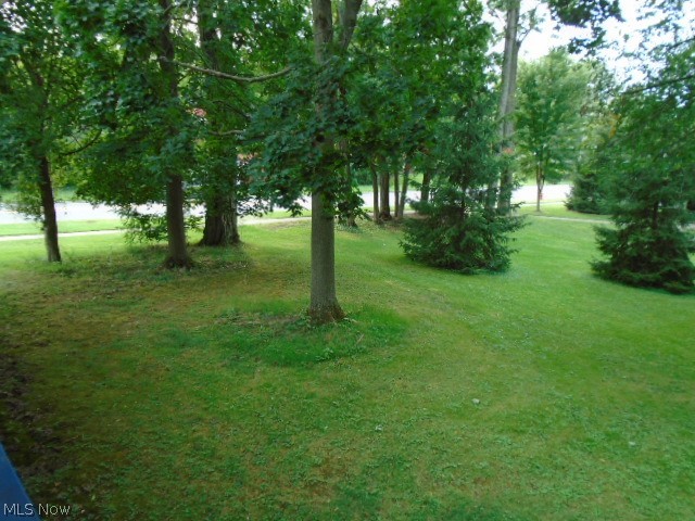 1295 Broadway Avenue Property Photo 27
