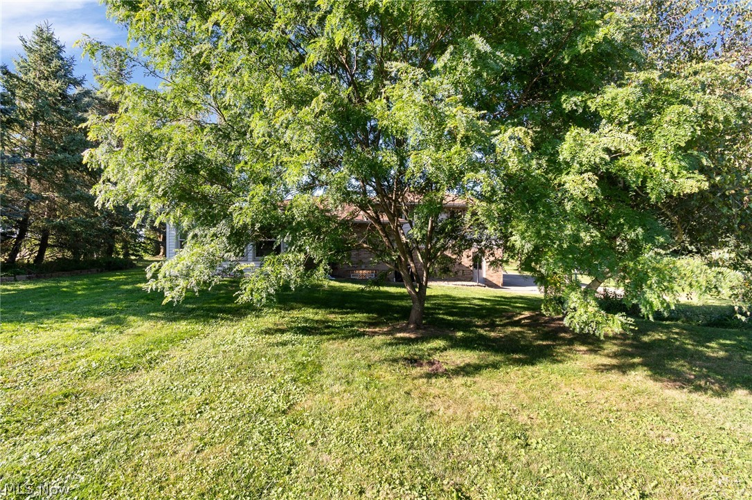 4047 Steiner Road Property Photo 37