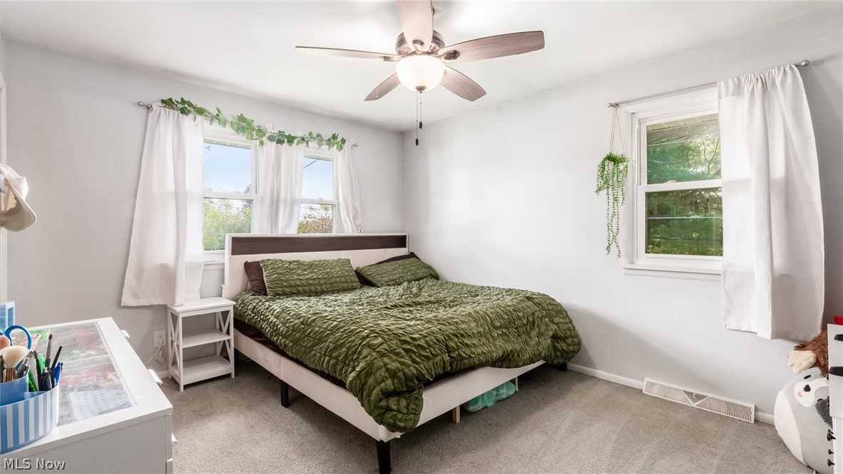 103 Downing Property Photo 11