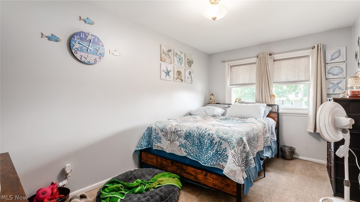 103 Downing Property Photo 14