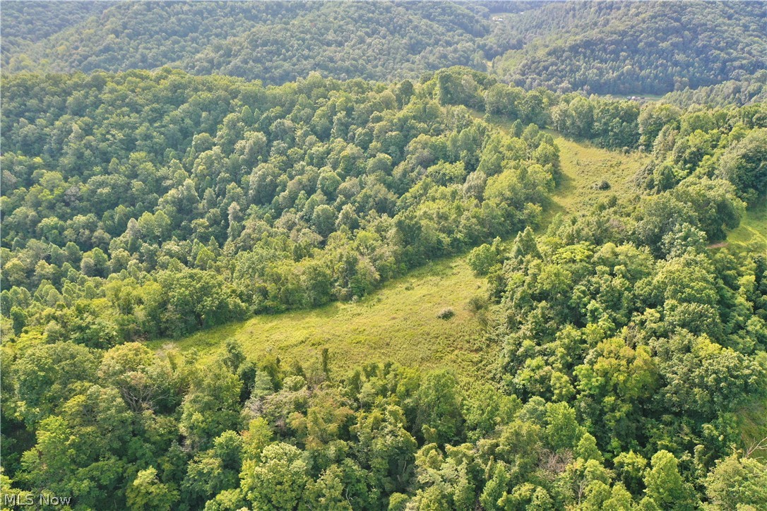 0002 Nicut Run Road Property Photo 1