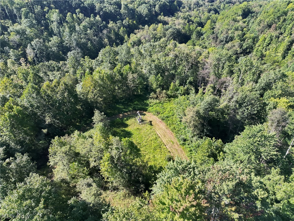 Crum Ridge Rd Property Photo 15
