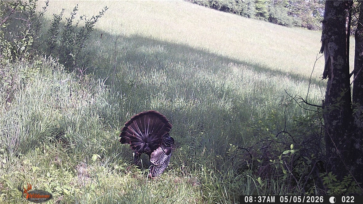 Crum Ridge Rd Property Photo 17