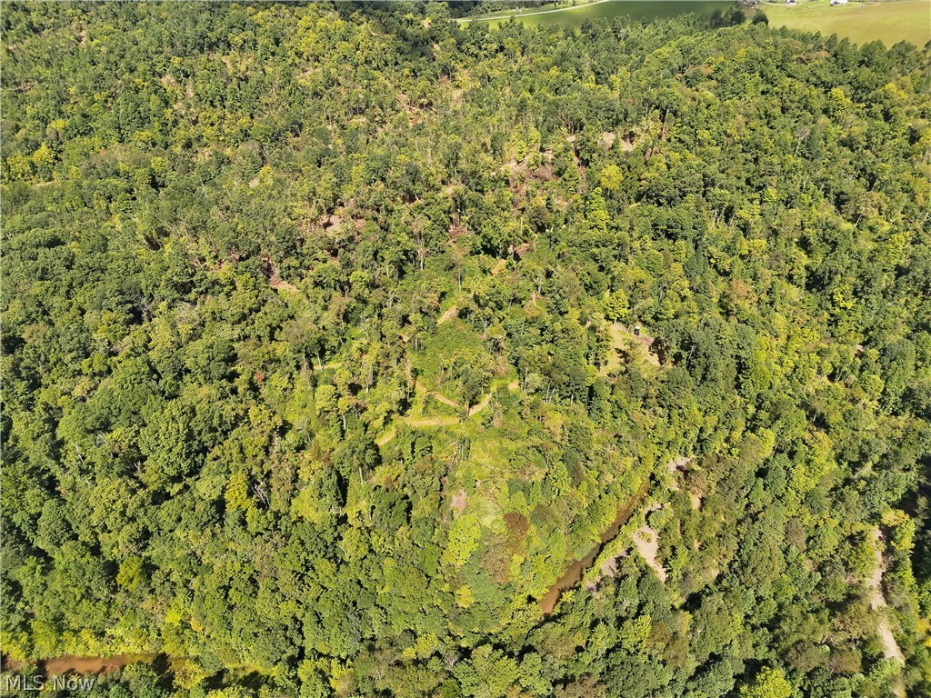 Crum Ridge Rd Property Photo 18