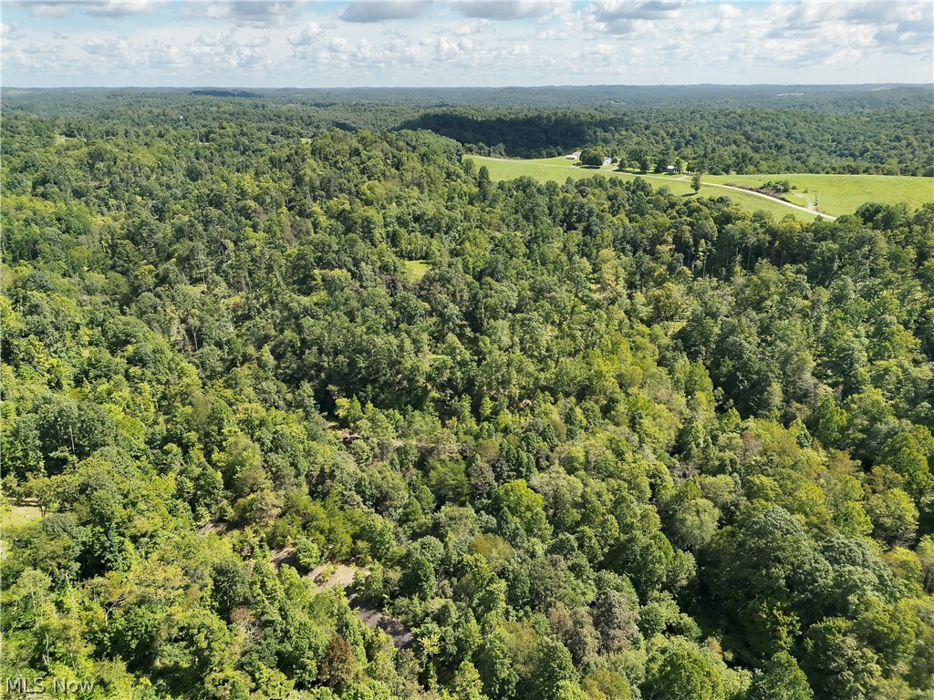 Crum Ridge Rd Property Photo 19
