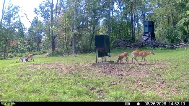 Crum Ridge Rd Property Photo 20