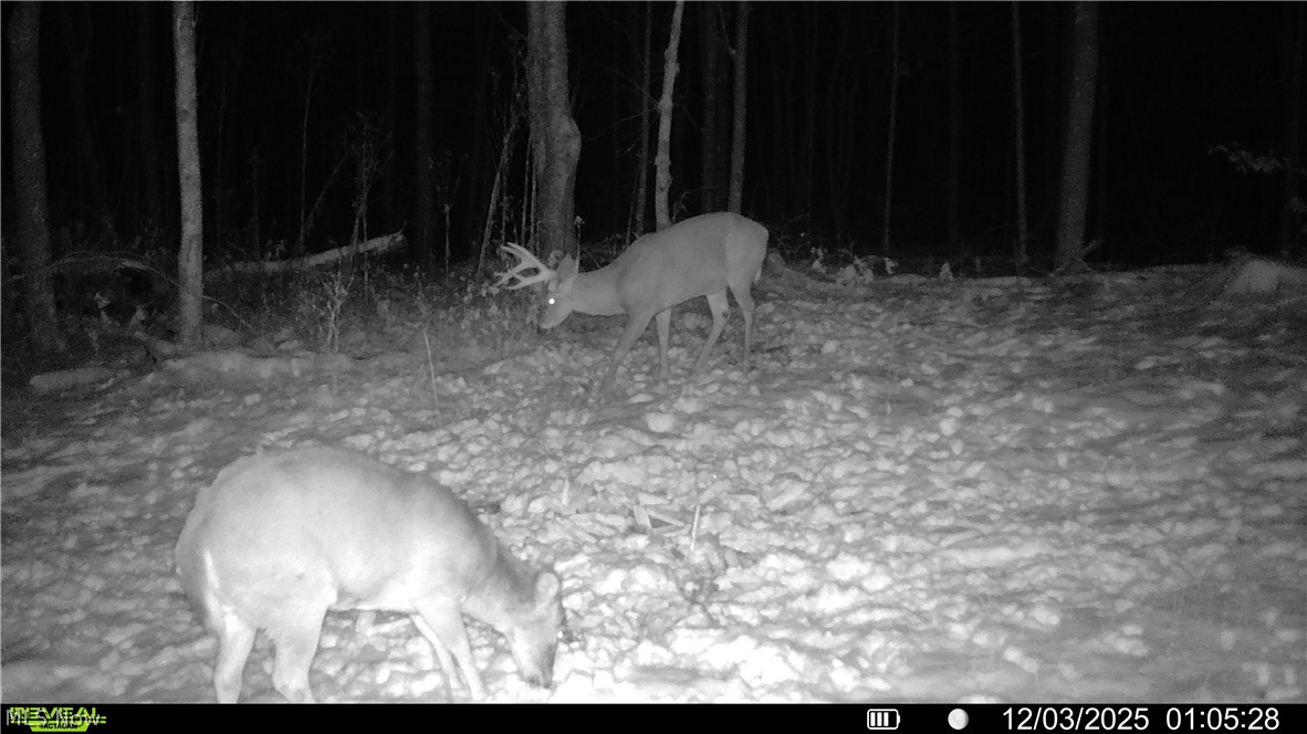 Crum Ridge Rd Property Photo 21
