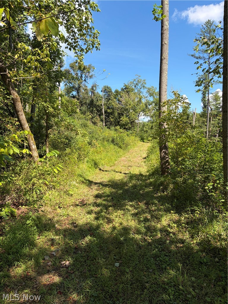 Crum Ridge Rd Property Photo 22