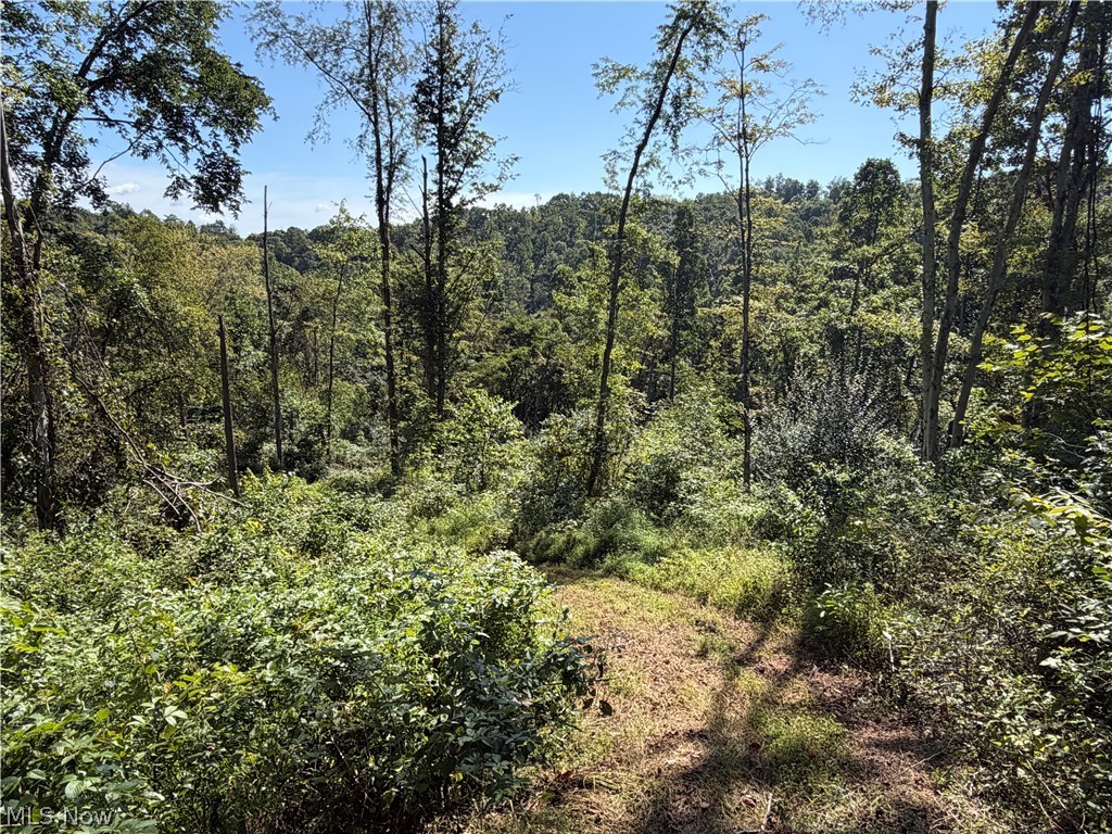 Crum Ridge Rd Property Photo 26