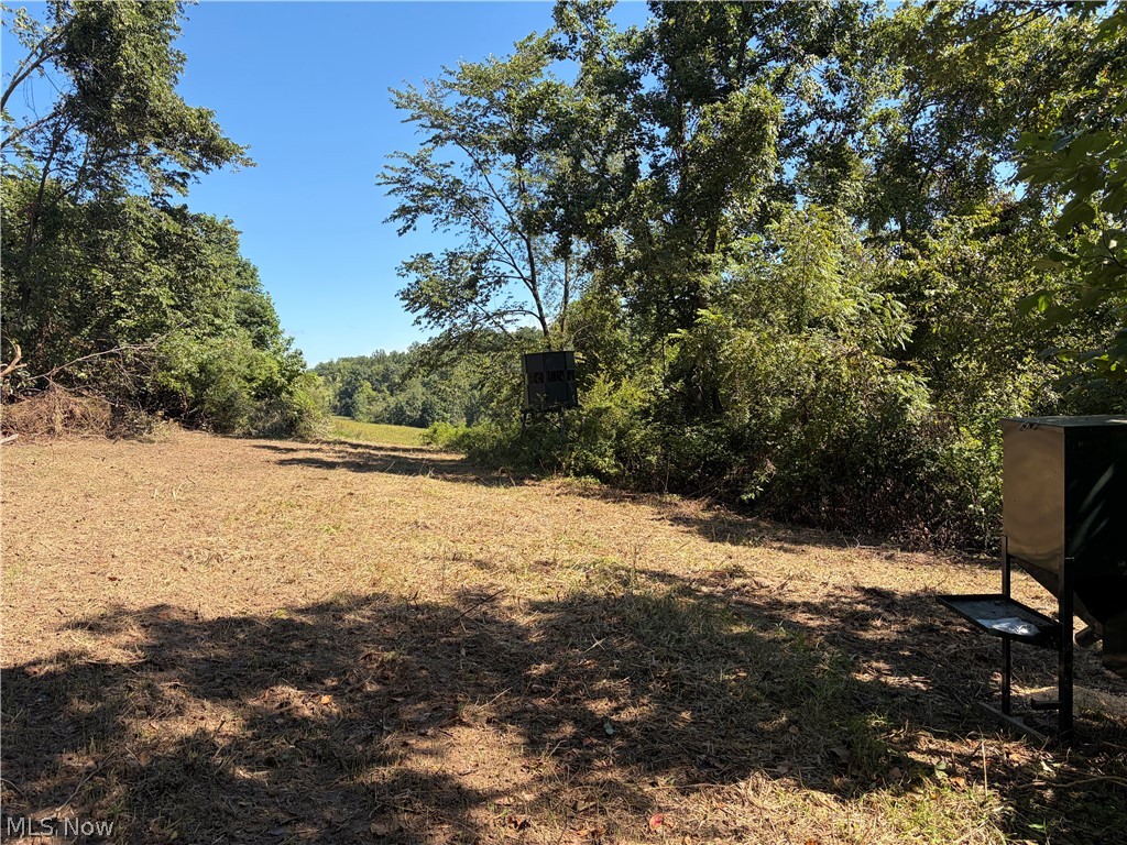 Crum Ridge Rd Property Photo 27