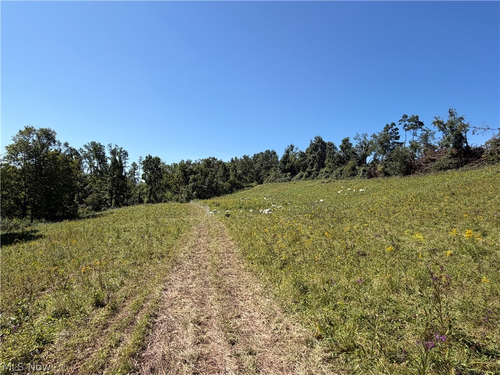 Crum Ridge Rd Property Photo 29