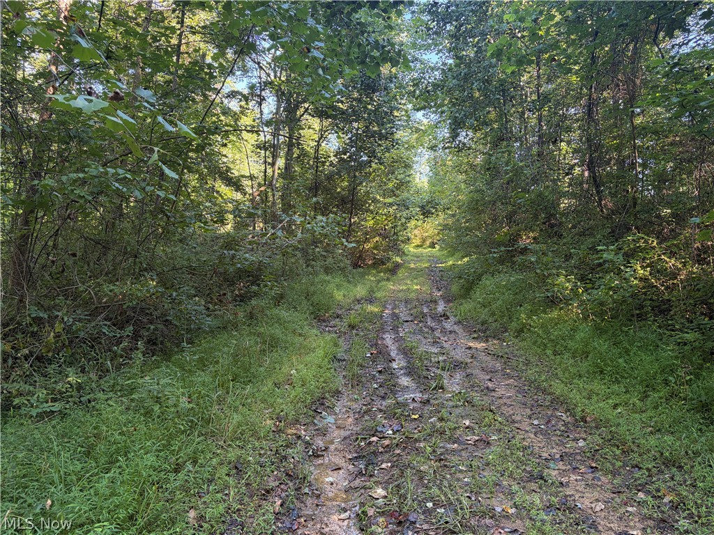 Crum Ridge Rd Property Photo 32