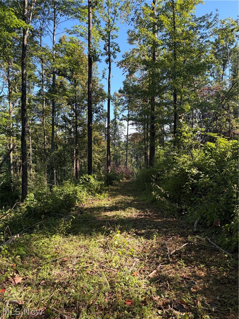 Crum Ridge Rd Property Photo 33