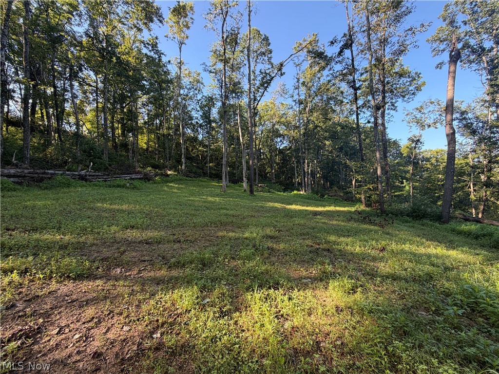Crum Ridge Rd Property Photo 38