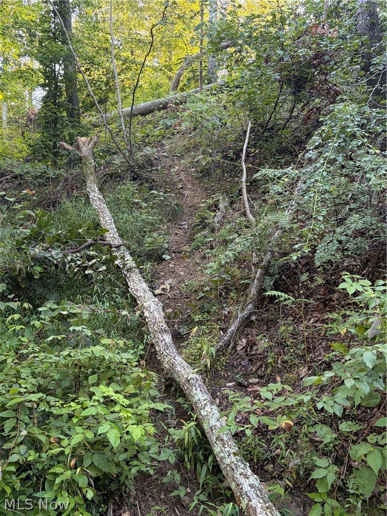 Crum Ridge Rd Property Photo 40