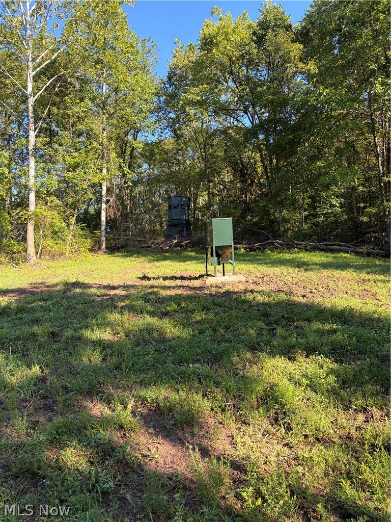 Crum Ridge Rd Property Photo 41