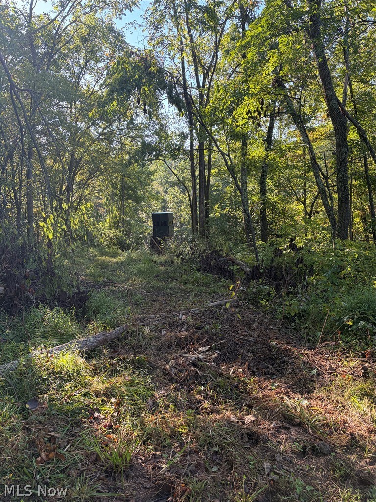 Crum Ridge Rd Property Photo 42