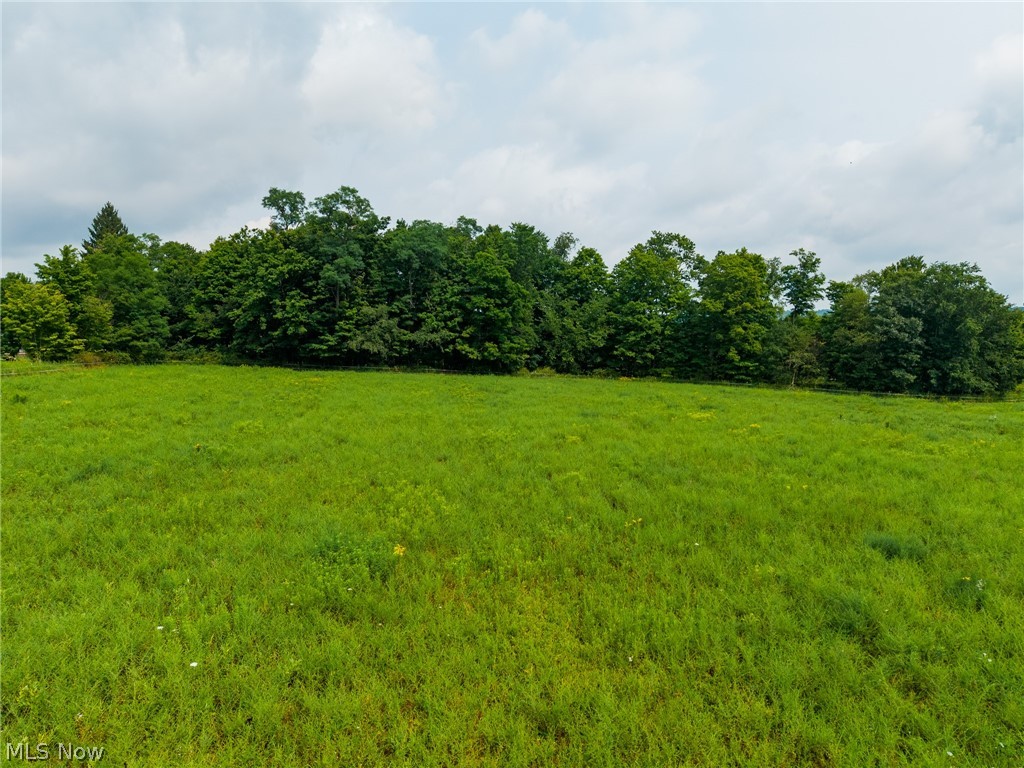 W County Line Road Property Photo 4