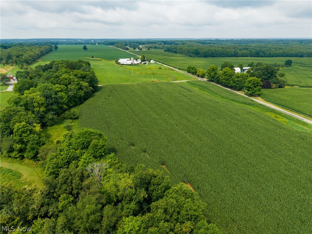 W County Line Road Property Photo 5