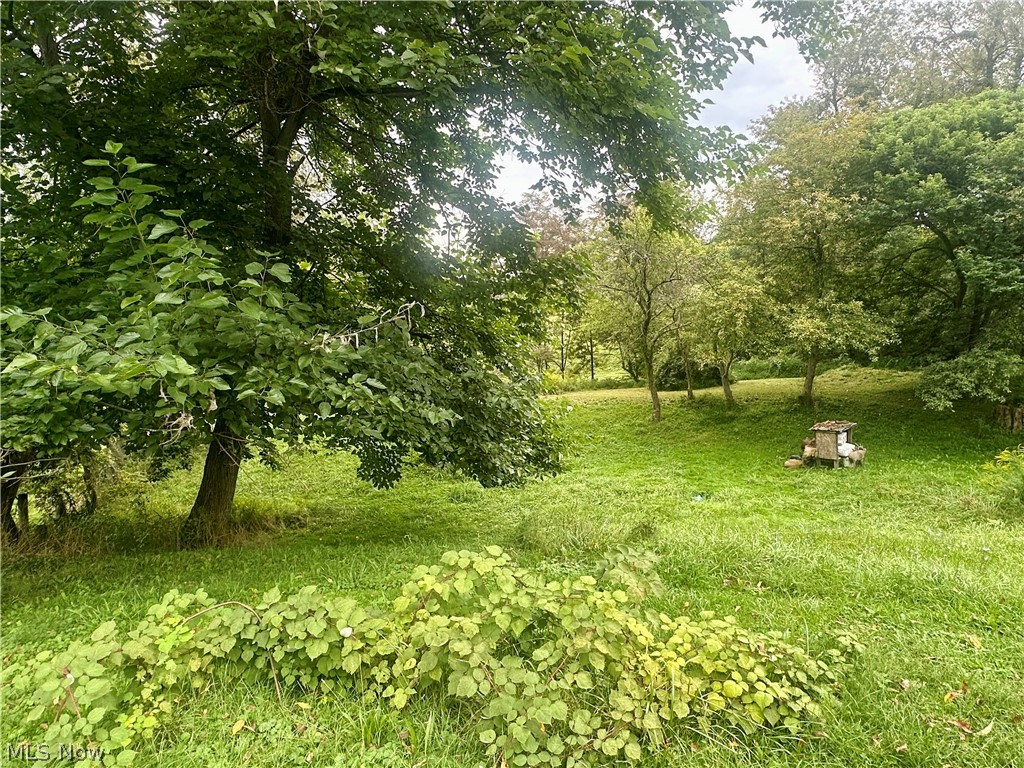 4260 Apple Pie Ridge Road Property Photo 31