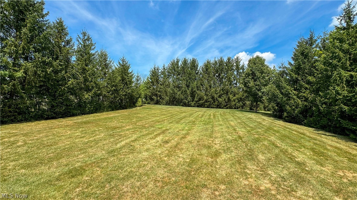 159 Kingston Drive Property Photo 39