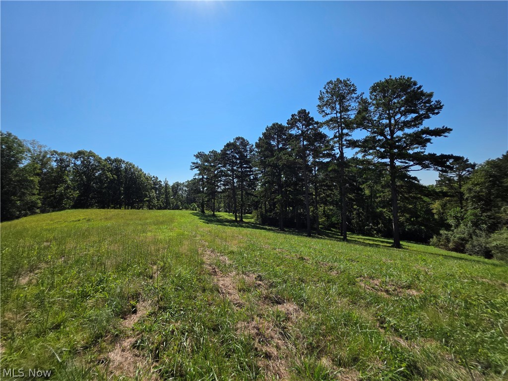 Brimstone Road Property Photo 5