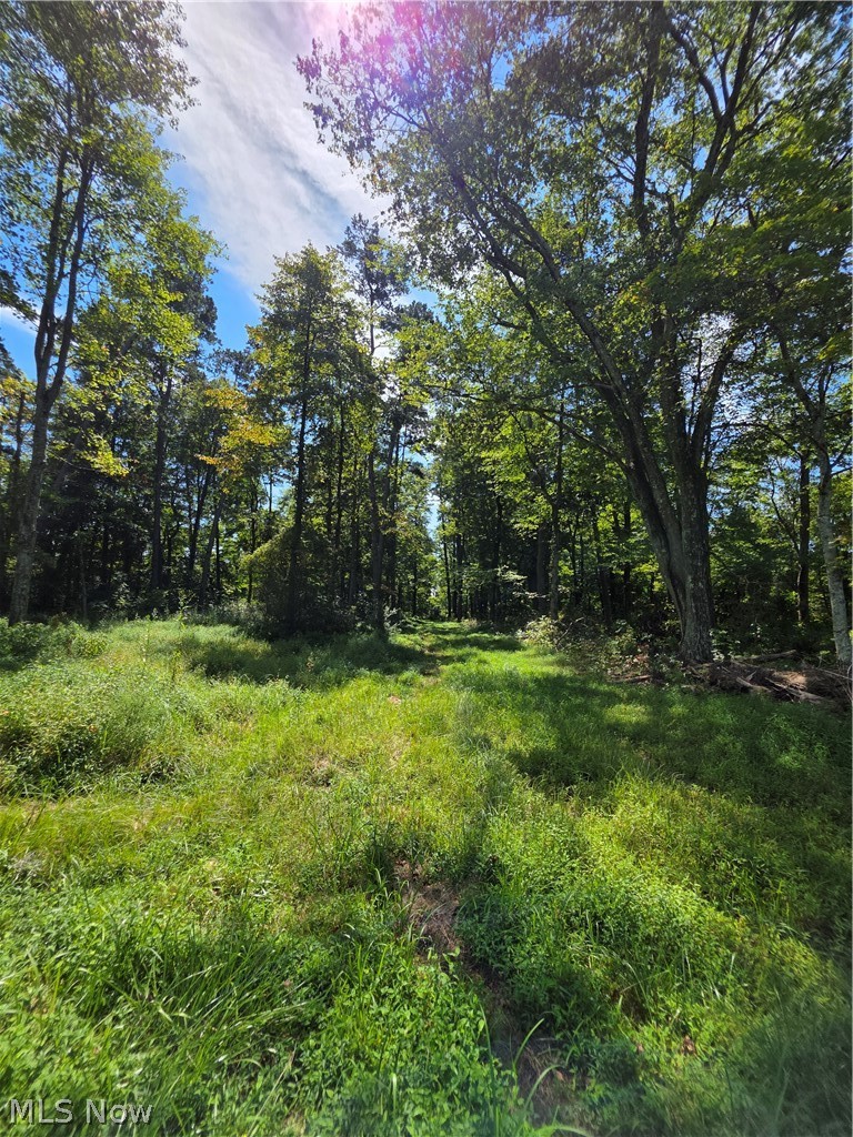 Brimstone Road Property Photo 12