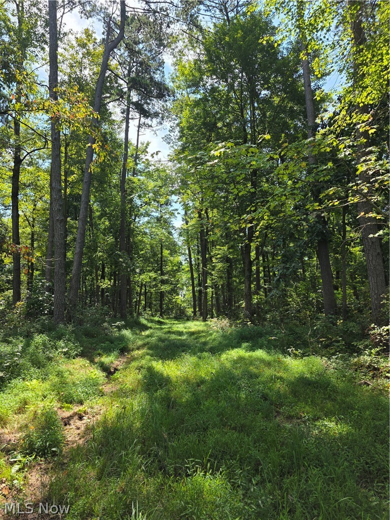 Brimstone Road Property Photo 13