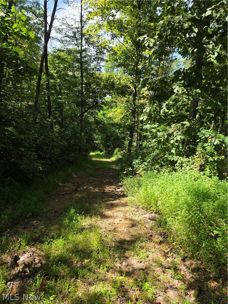 Brimstone Road Property Photo 14