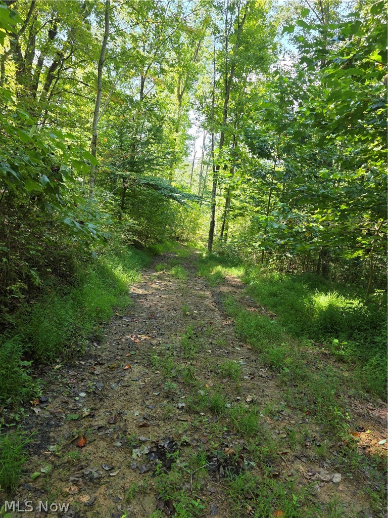Brimstone Road Property Photo 15