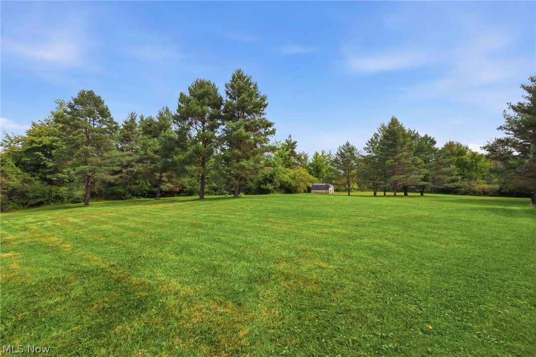 9555 S Brown Road Property Photo 45