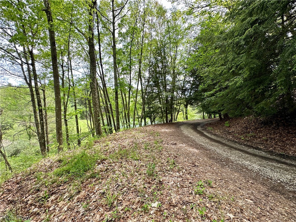 4101 Peace Road Se Property Photo 5