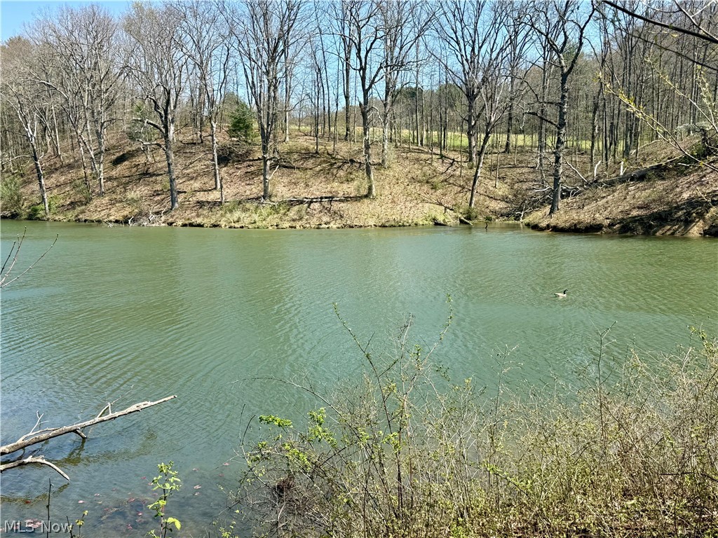 4101 Peace Road Se Property Photo 25