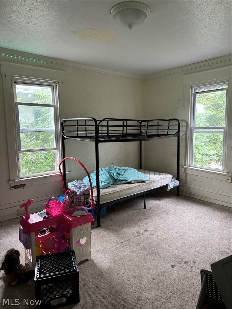 5241301 Property Photo 7