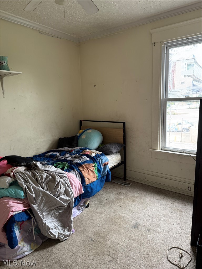 5241301 Property Photo 10