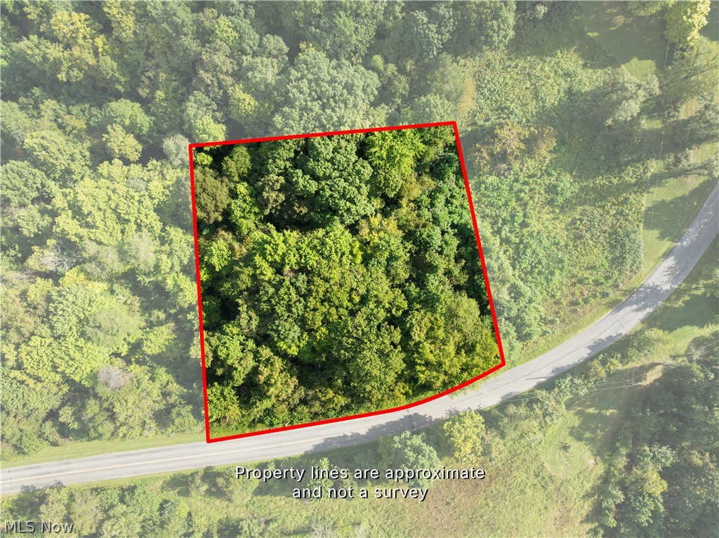 0 Houston Road Property Photo 1