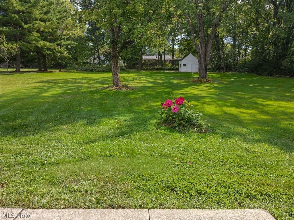 72 Meadow Lane Property Photo 33
