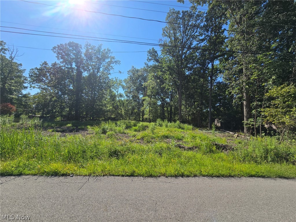 V/l Idlewood Avenue Property Photo 1