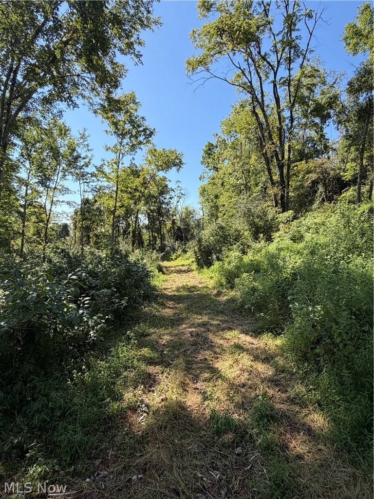 Spence Hill Rd Property Photo 17