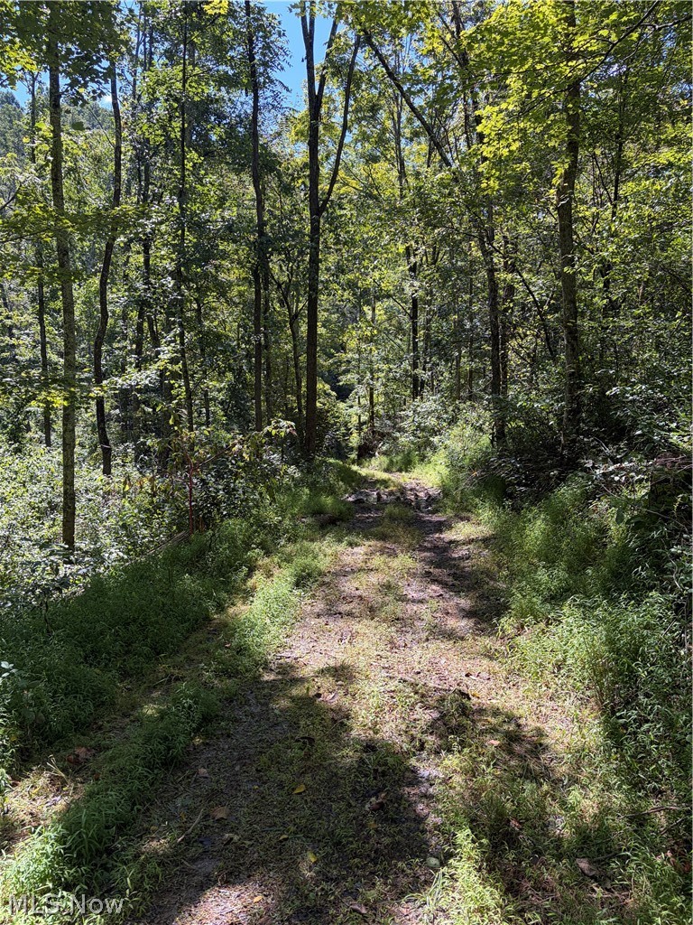 Spence Hill Rd Property Photo 18